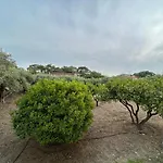 Lina\'S Amazing House In Ialysos